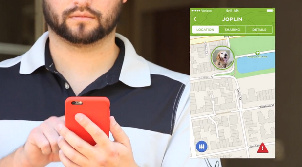 Pet Finder работи в тандем със смартфон и информира във всеки момент къде е домашният ни любимец
