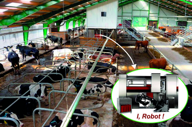 Роботизираната система може да издоява до 130 крави три пъти в денонощието (снимка: Алфа-микс)