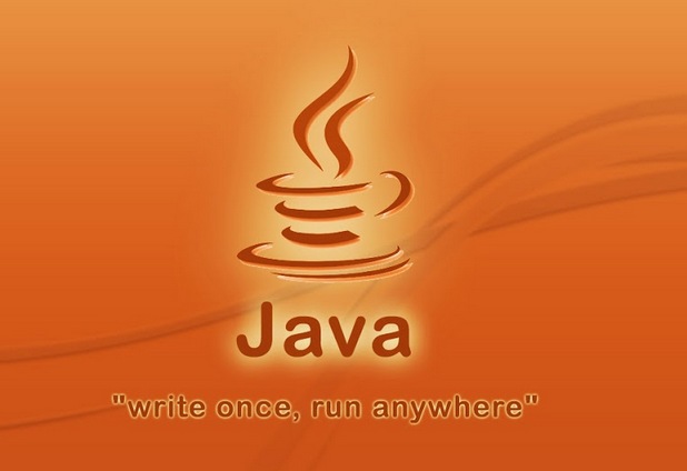 Езикът за програмиране Java се появи през 1995 г., а днес има 30 съвместими реализации