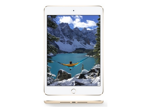 iPad mini 4 запазва екрана и резолюцията на предходния модел - 7,9 инча и 2048х1536 пиксела