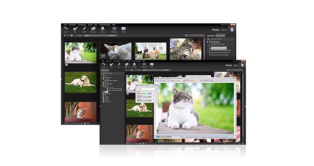 StudioLine Photo Basic не е просто програма за обработка на изображения, а мощен мениджър за управление на фото колекции