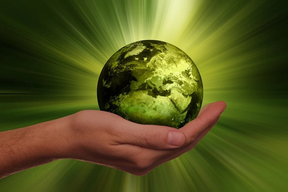 Повечето хора вярват че обществото ще бъде напълно зелено след