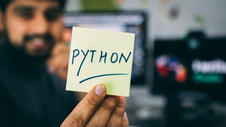 Лесният за усвояване програмен език Python има десетки милиони потребители(снимка: