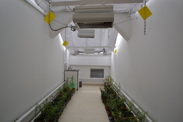 В Геномния център са изградени модерни технологични оранжерии и растежни камери