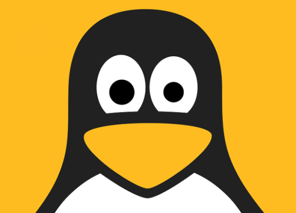 Linux что означает символ