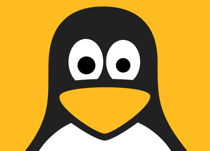 Обновеното ядро включва алгоритъм за криптиране AdiantumНови възможности в Linux