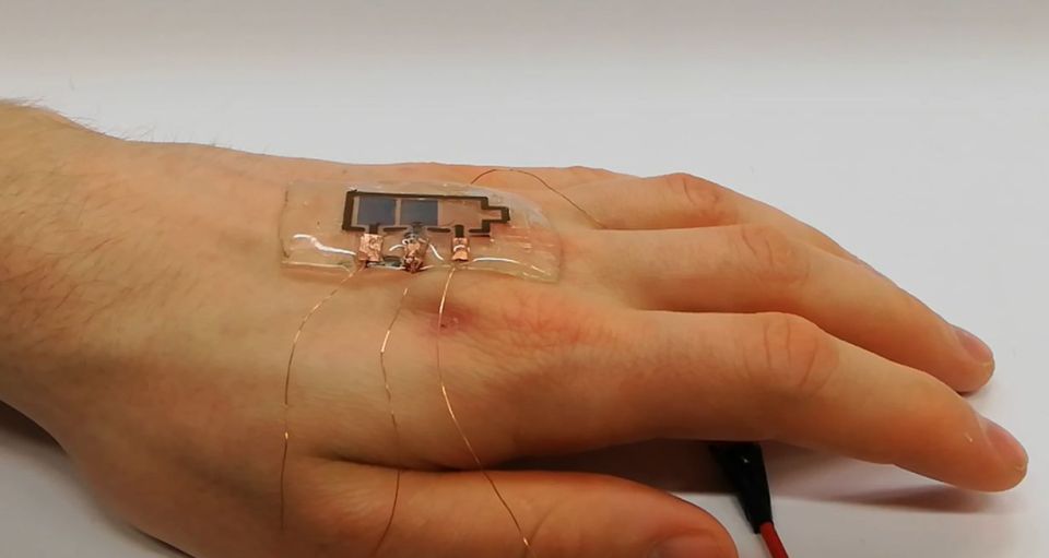 Биоразградимият дисплей може да се носи върху ръката поради своята