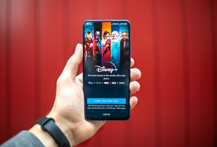 Блокчейн технология ще ограничи пиратското възпроизвеждане на съдържание на Disney снимка