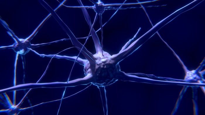 С около 86 милиарда неврона мозъкът е свръх трудна за разбиране