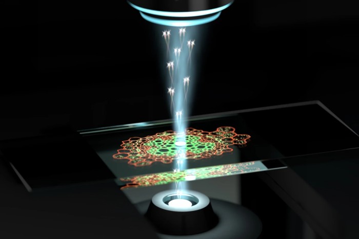 Новият квантов микроскоп, разработен от австралийски учени, в действие(снимка: The