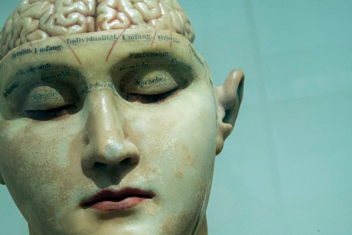 Пристрастяващите мозъчни импланти застрашават идентичността на човека снимка CC0 Public Domain Изследователи