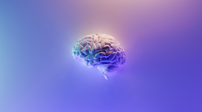 Отпечатани мозъчни клетки могат да се използват в медицински изследвания снимка