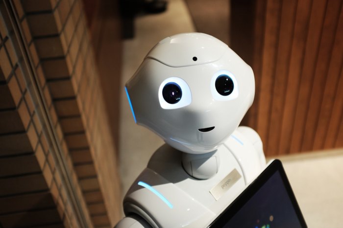 От Pepper ще се роди поколение по функционални интелигентни роботи снимка CC0