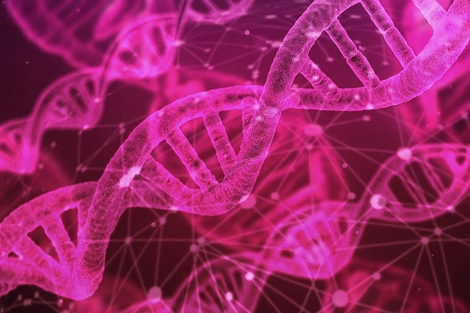 ДНК-редактирането може да доведе до неочаквани промени в генома, които