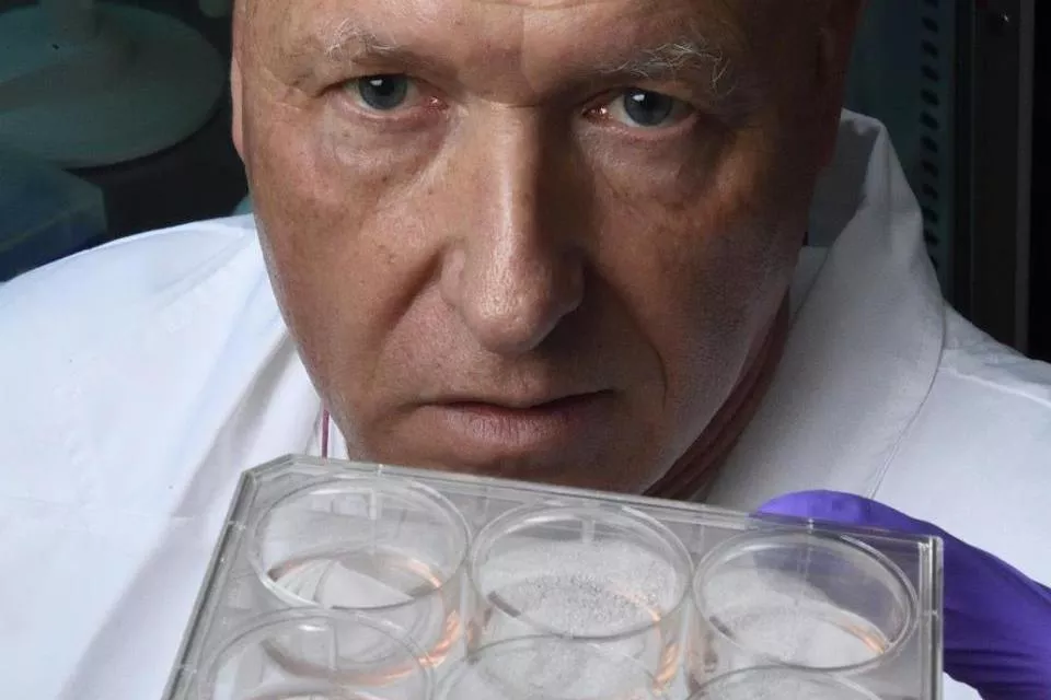 Проф. Томас Хартунг създава функционални органоиди, използвайки човешки клетки(снимка: Will
