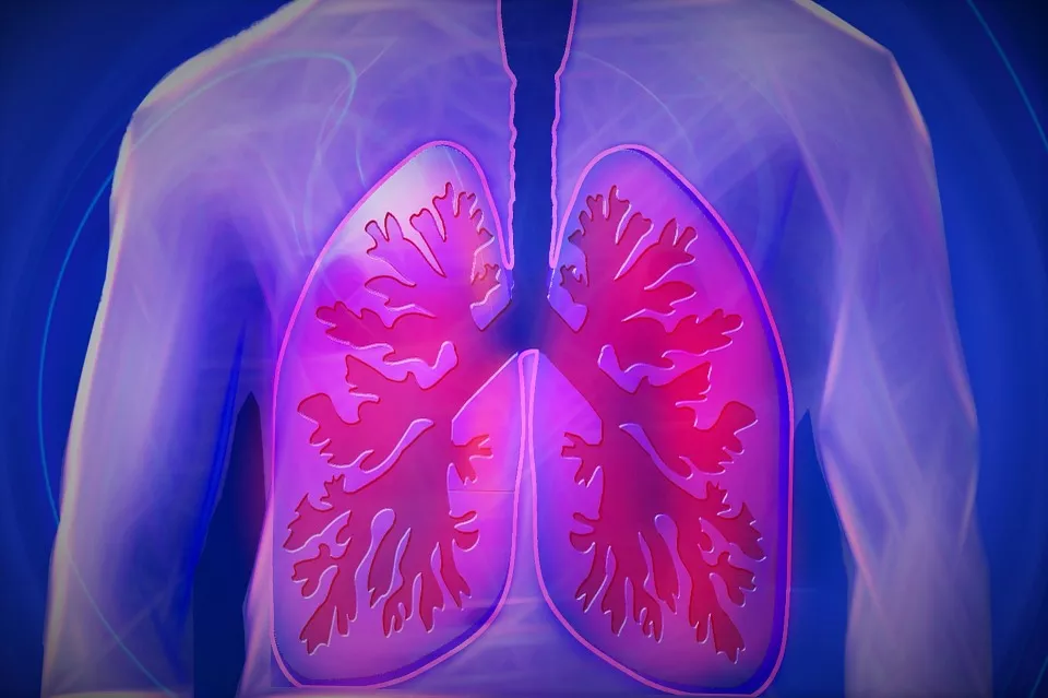 AI identifies lung cancer with high accuracy