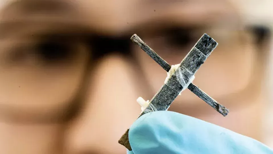 Scientists have created the world’s first wooden transistor