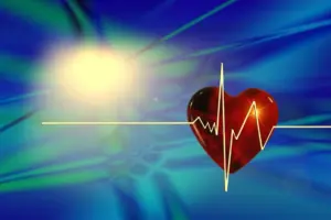 Освен нездравословния живот имунната система също влияе на сърцето снимка CC0