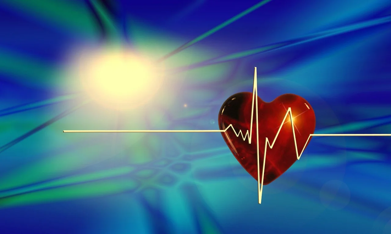 Освен нездравословния живот, имунната система също влияе на сърцето(снимка: CC0
