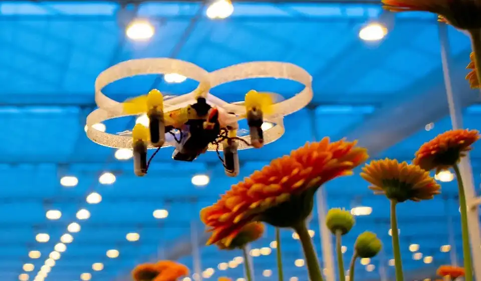 Миниатюрни дронове с безжично зареждане унищожават насекоми-вредители (снимка: PATS)
Холандска компания разработи