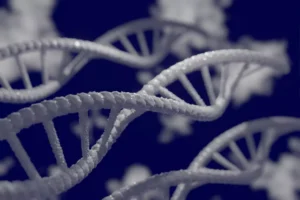 ДНК анализите стават все по популярни през последните години снимка CC0 Public