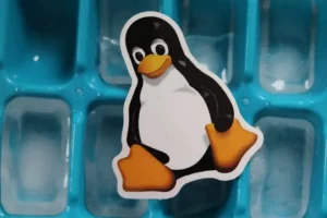 Уязвимост в компресираща програма засяга няколко популярни Linux дистрибуции снимка CC0