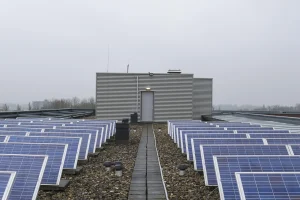 Китай остава доминираща сила но това няма да продължи дълго