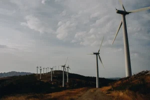 Вятърната ферма ще осигури на Google 136 GWh чиста енергия