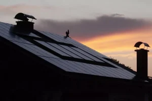 Слънчевите панели с двойна функция категорично надминават производителността на фотоволтаиците